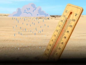 Calor y lluvia