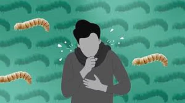 el gusano barredor pjm