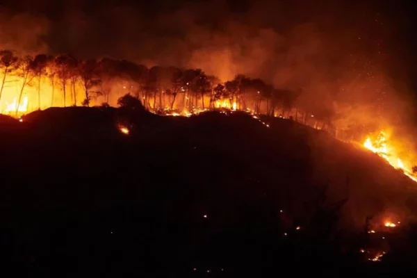 Este verano, España registra una serie de incendios sin precedentes en su territorio