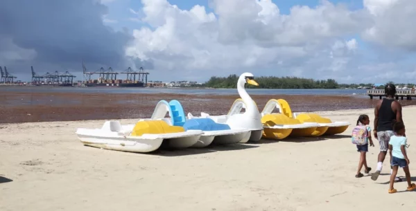 El cúmulo de algas afecta a los visitantes y a los comerciantes del entorno de la playa de Boca Chica.    Chaimy Soriano