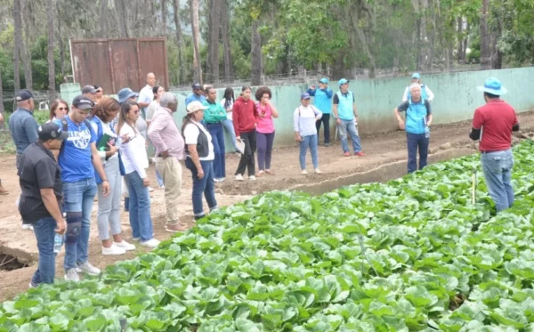 El día de campo en Constanza incluyó visita a las plantaciones.