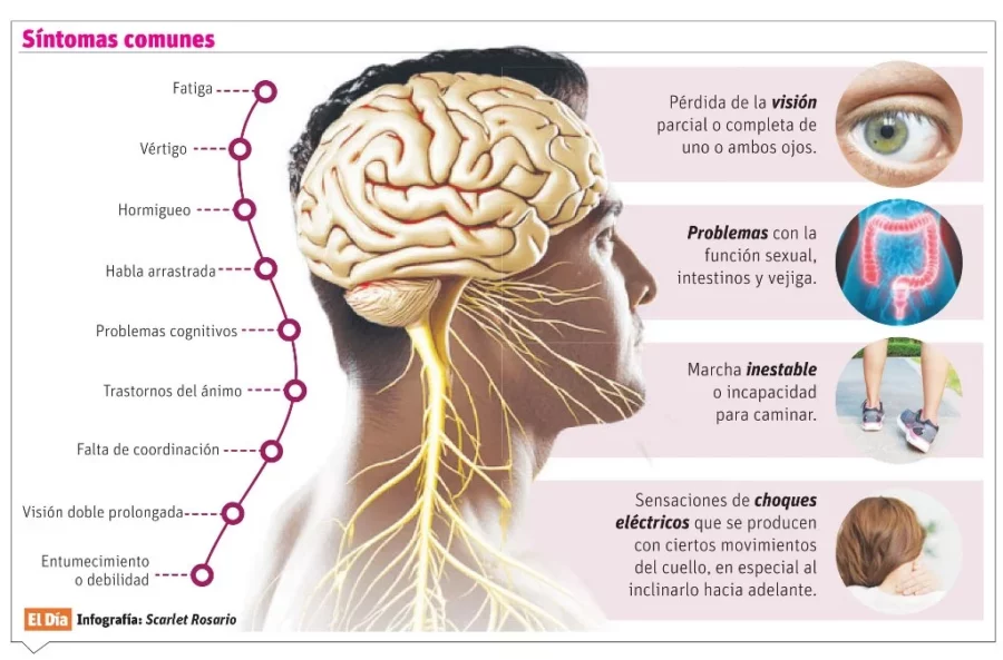 info-SINTOMAS COMUNES info-SINTOMAS COMUNES