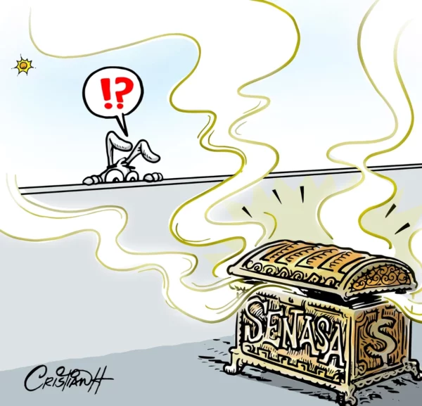 El carrusel de la vida