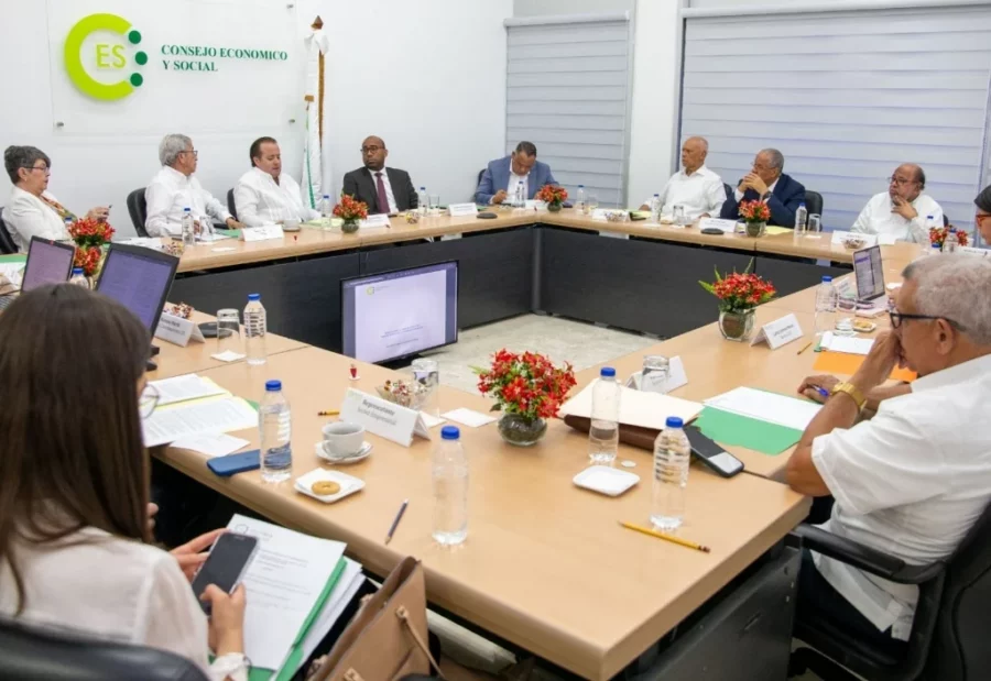 El Consejo Económico y Social concluyó los debates en torno a la migración haitiana presentando un plan de trabajo.