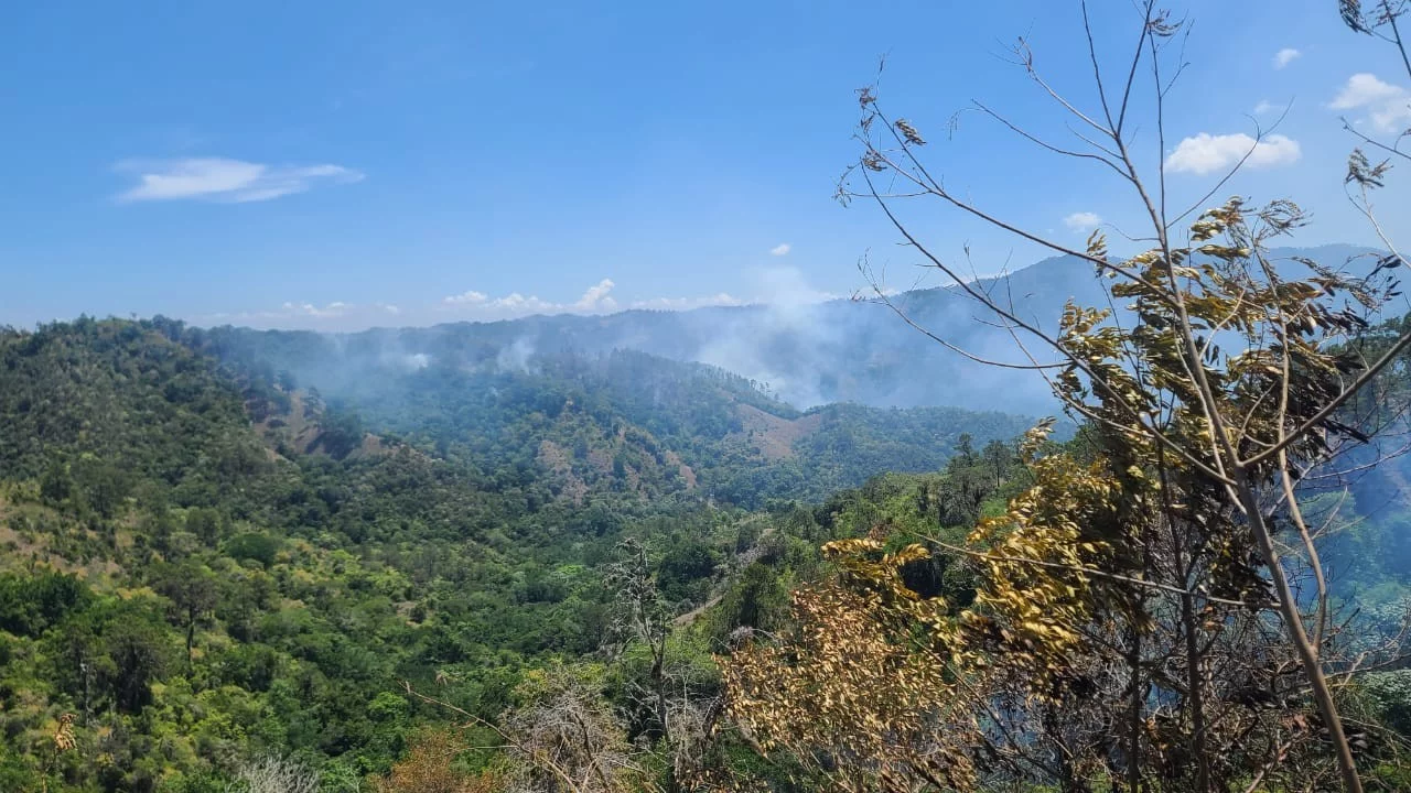Se registran incendios forestales en Jánico y Barahona