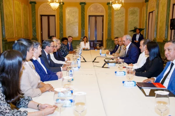 Abinader informe del CES