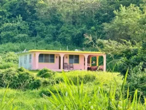 Casa de Bad Bunny