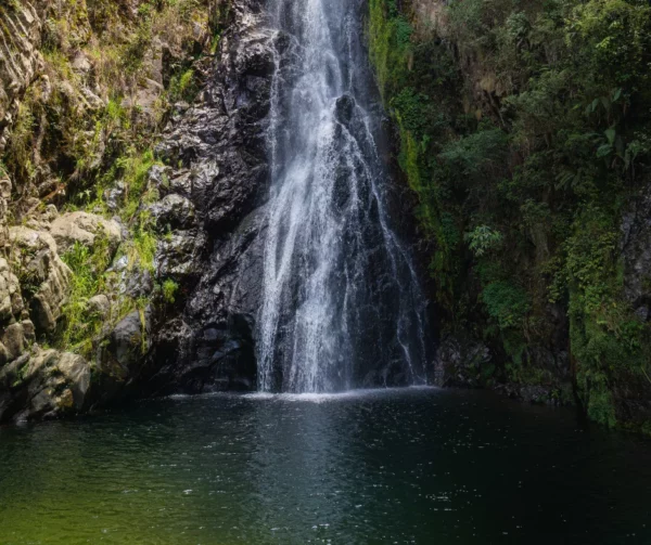 Diseño sin título – 2025-09-19T215617.218