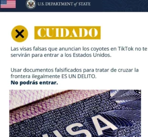 Visa falsa