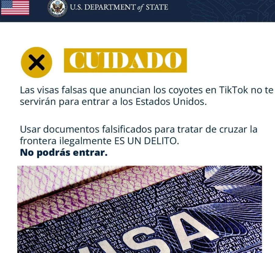 Falsa visa Falsa visa