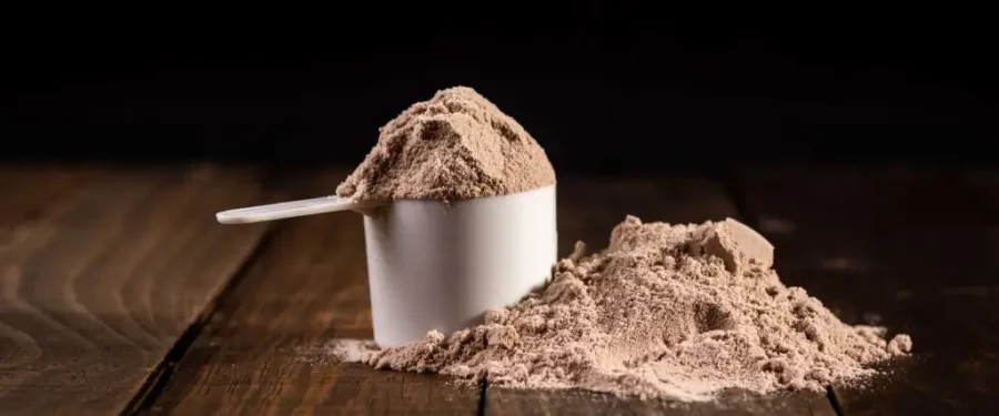 Proteína en polvo