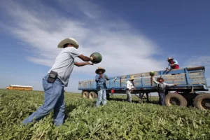 Trabajadores en Estados Unidos