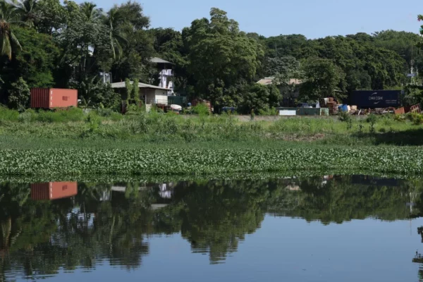 WhatsApp Image 2025-09-13 at 12.35.55sdsd