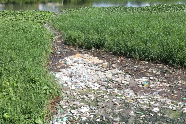 WhatsApp Image 2025-09-13 at 12.36.05 (3)sds