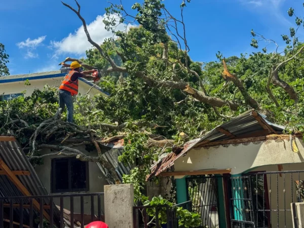 WhatsApp Image 2025-09-28 at 4.12.12 PM (1)