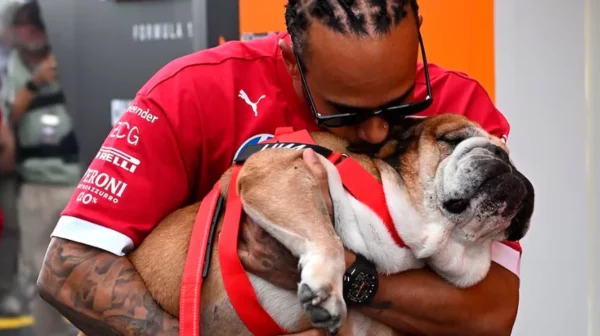 lewis-hamilton-perro-muerte