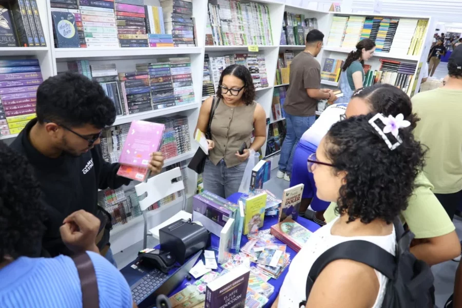 librsos y vistas
