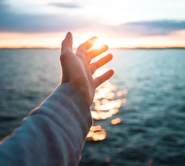 Bienaventurados los mansos: la fuerza de la templanza