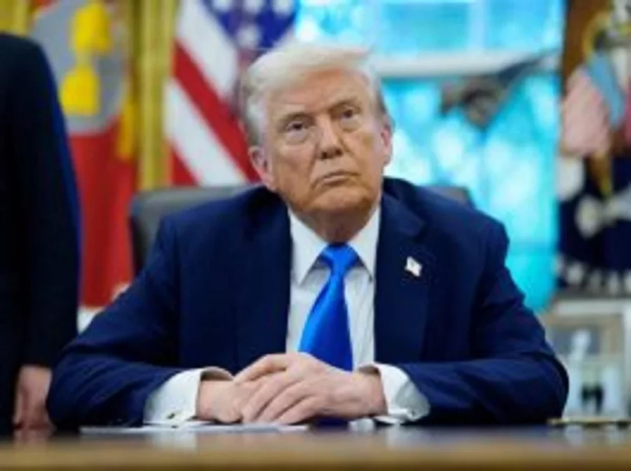trump t