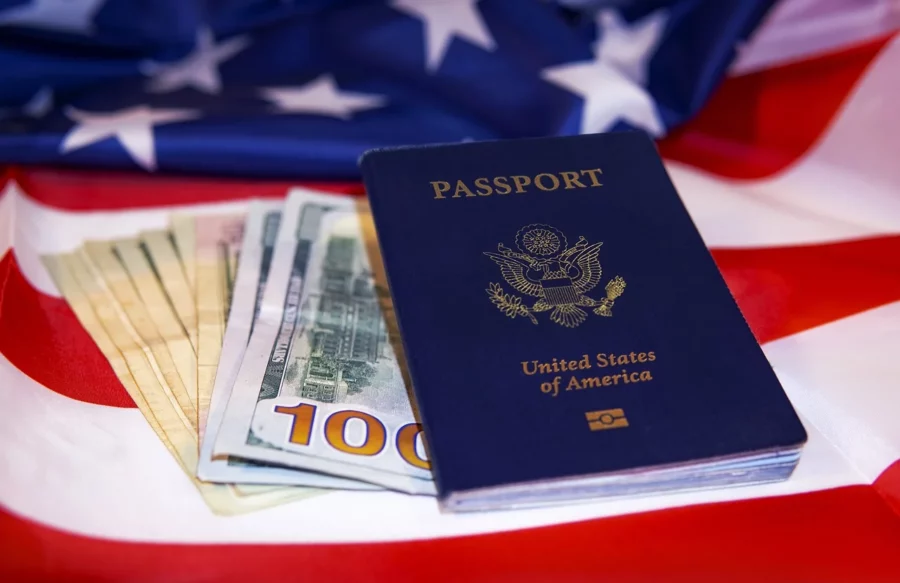 visa (3) visa (3)