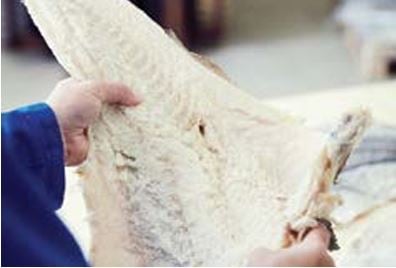 Fomentar una alimentación más organizada y sostenible