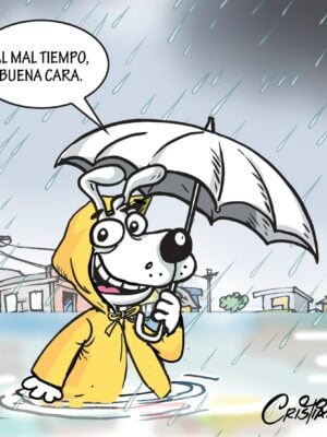 El carrusel de la vida