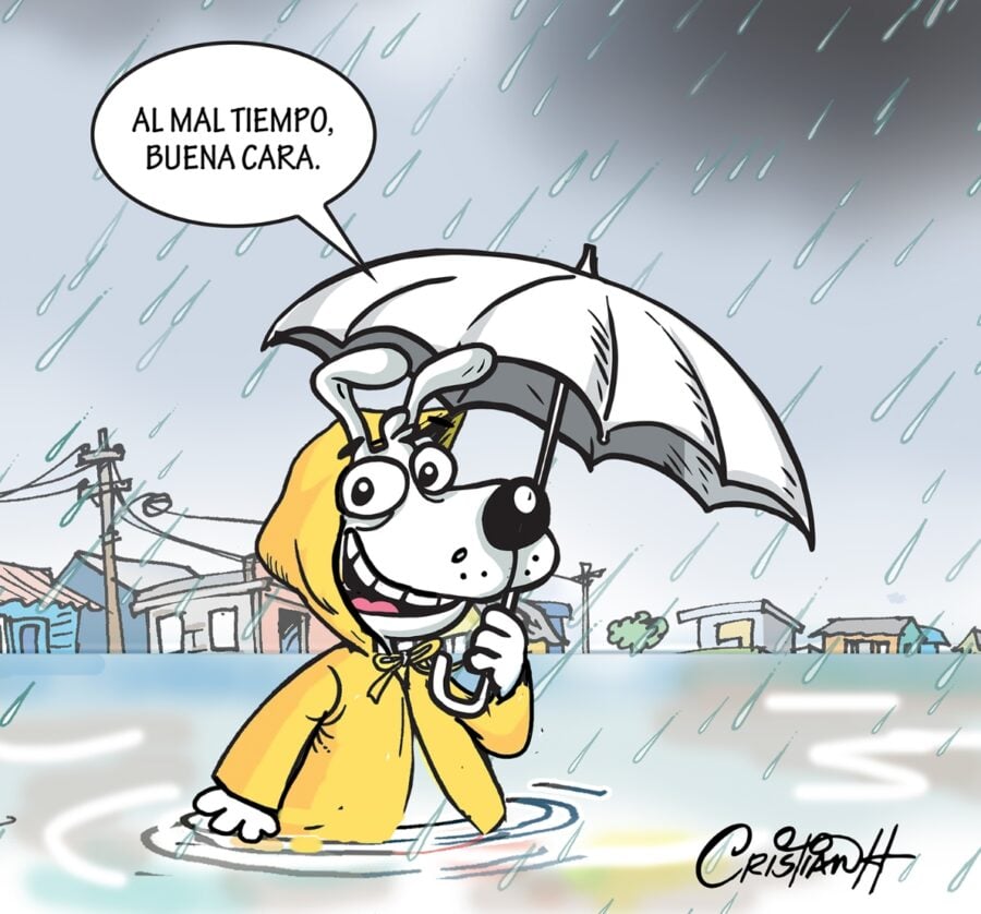 El carrusel de la vida