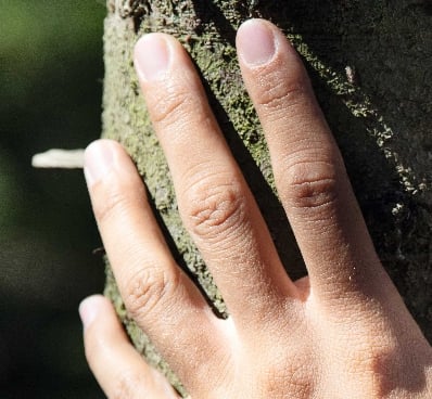 Protección de los bosques.