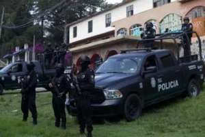 Policías federales.