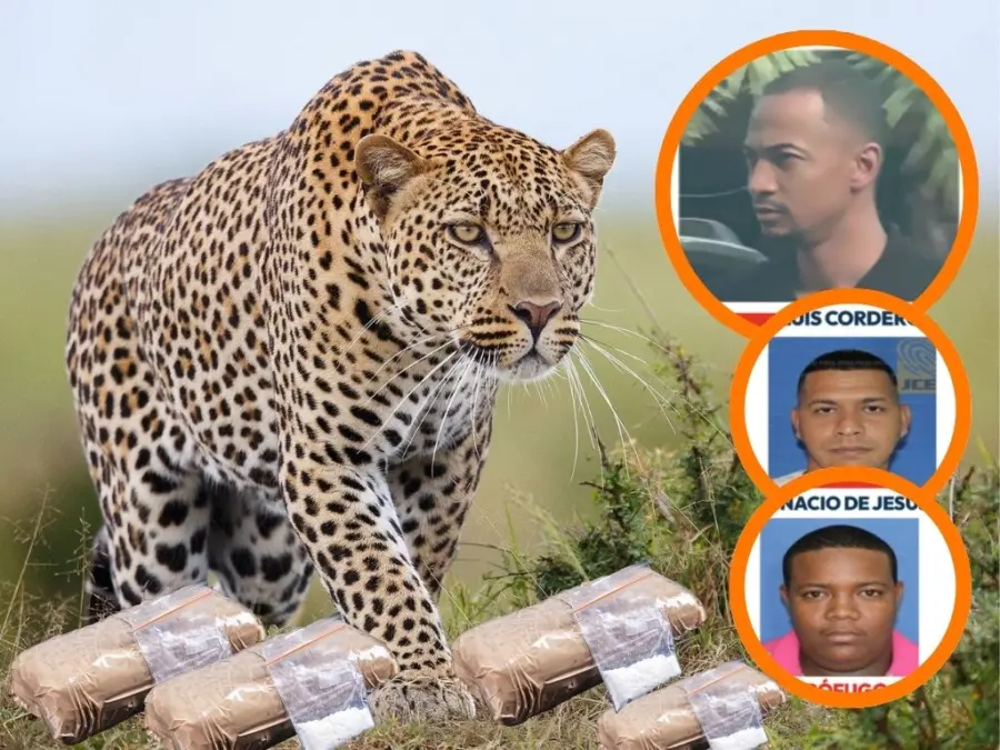 Caso Leoprardo2