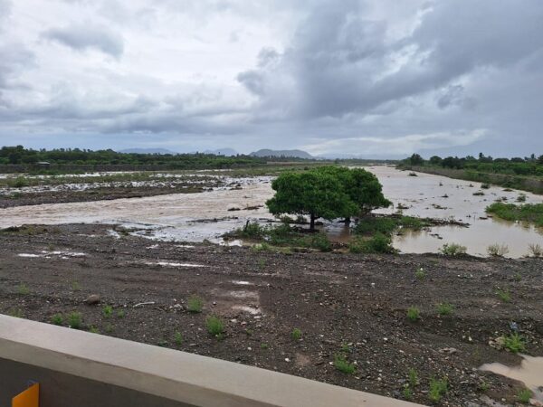 Daños a la agrícultura
