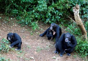 NDRDV2QKMDBXFFQDZUGS6ZPVEM25