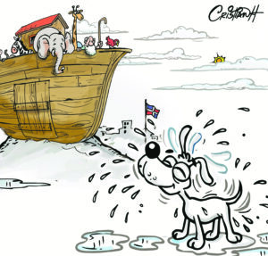 El carrusel de la vida
