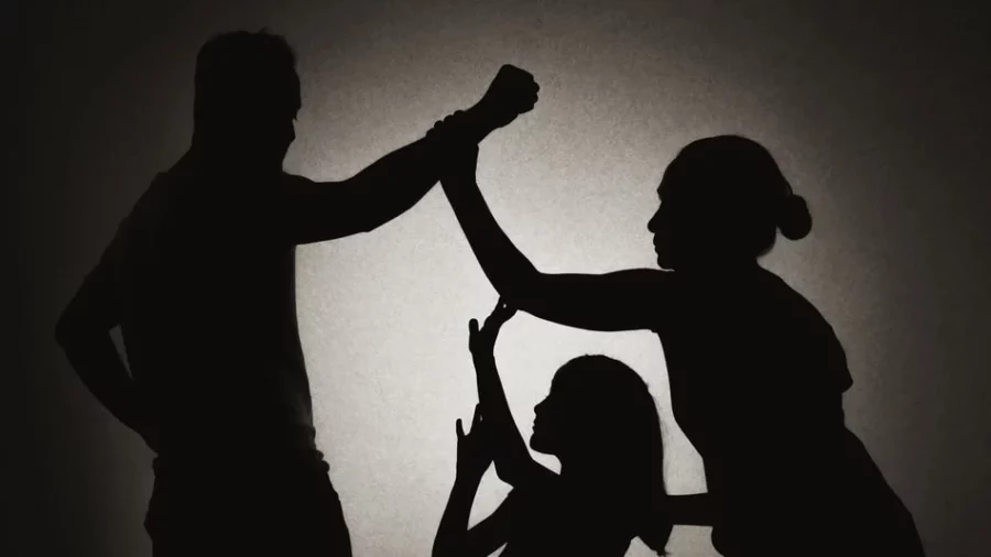 VIOLENCIA (2)