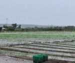 Agricultura