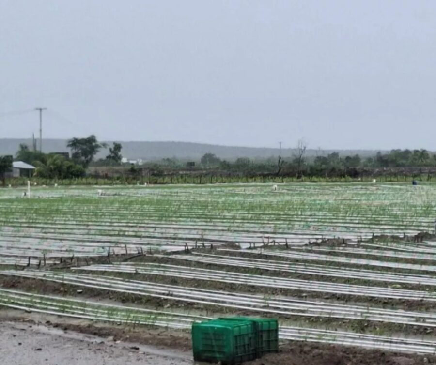 Agricultura
