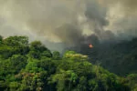cambio climatico