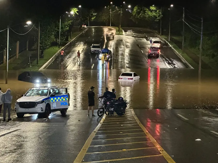 ecologica inundada