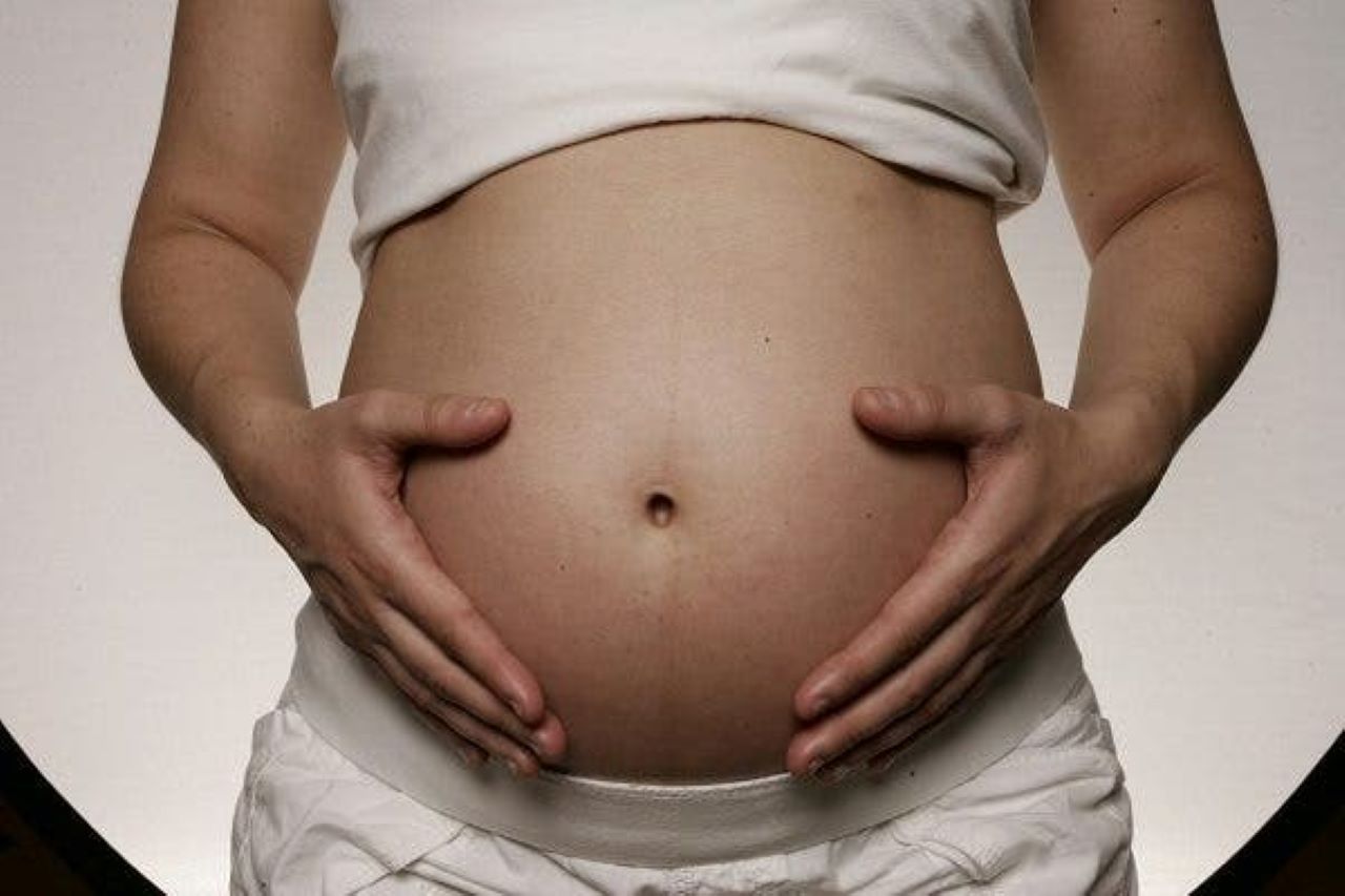 Bacteria intestinal materna mejora crecimiento fetal y reduce mortalidad embrionaria, revela estudio