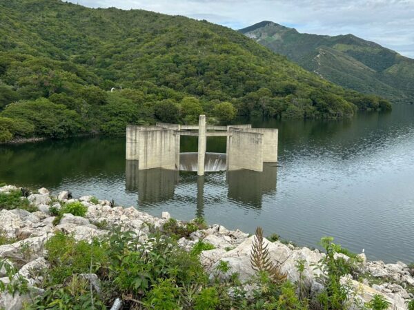 f26eb86e-f6ce-4ee3-a67d-fb93263e1a8e