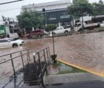 lluvia- coe-melissa