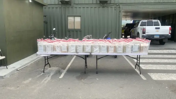 DNCD incauta 572 libras de marihuana en Baní
