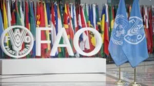twr_fao_conferenciadf