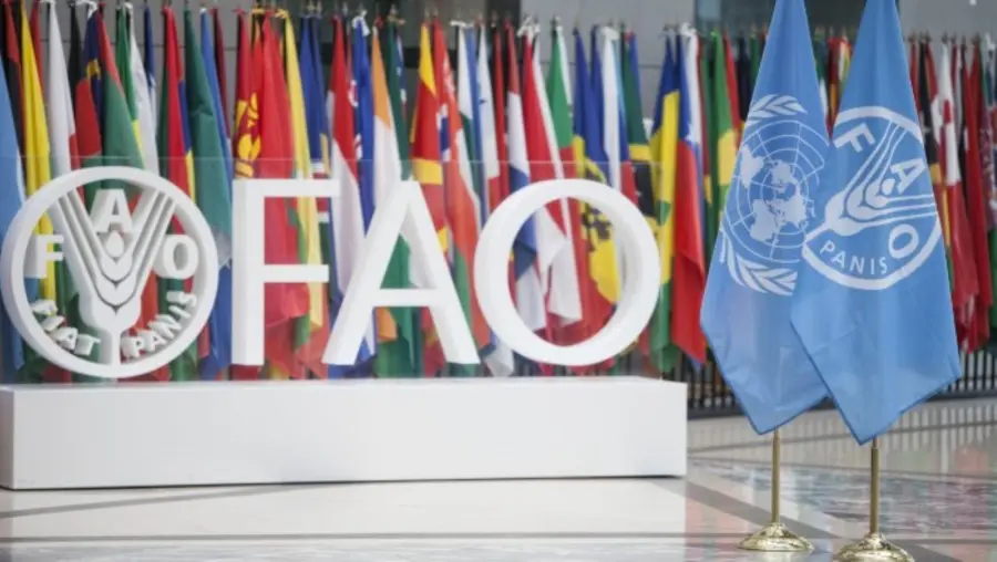 twr_fao_conferenciadf