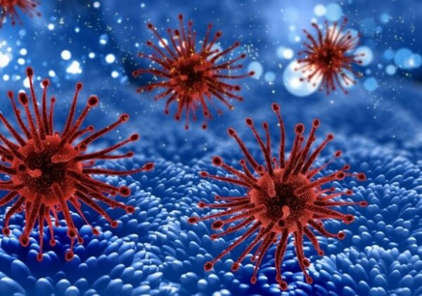 vida-microbiana-un-universo-invisible-a-nuestros-ojos