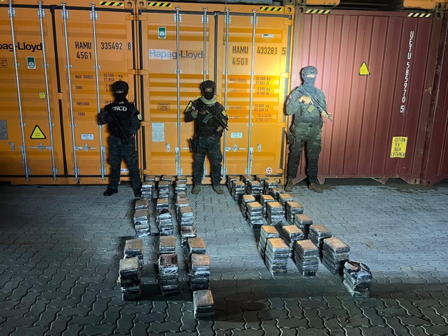 200 paquetes Caucedo