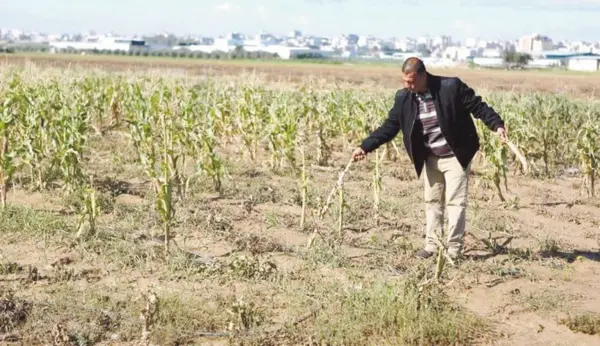 El dañó a los pozos agrícolas también incide en la calidad de las tierras de cultivo.