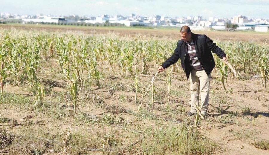 El dañó a los pozos agrícolas también incide en la calidad de las tierras de cultivo.