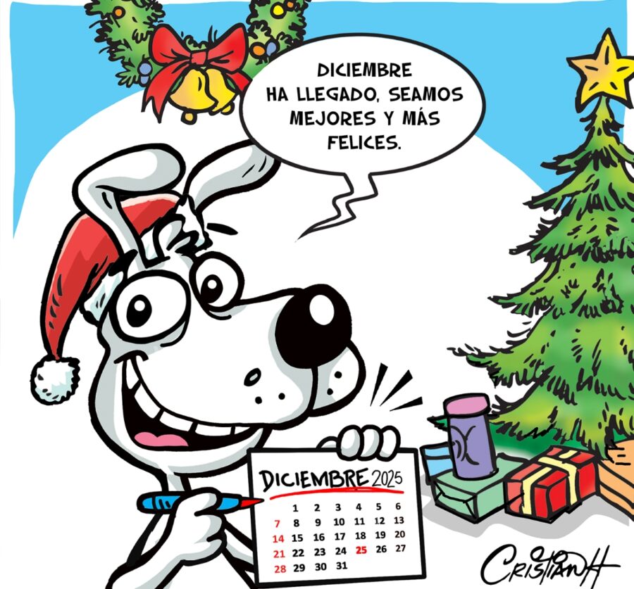 El carrusel de la vida