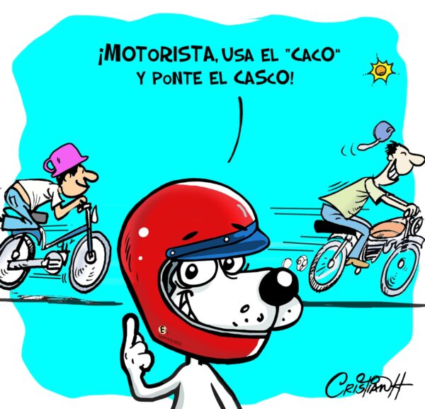 El carrusel de la vida